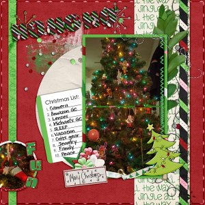 HO HO HO FUN
