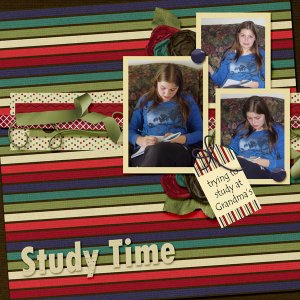 10-Tasha_study_2013
