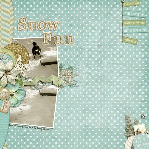 Snow Fun