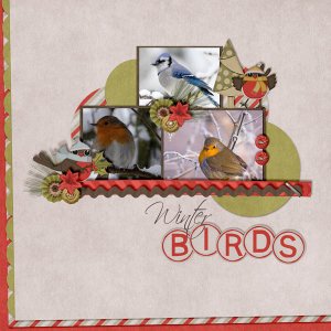 Winter Birds