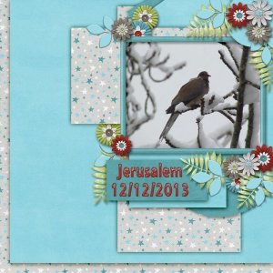 Designer_Spotlight_Challenge