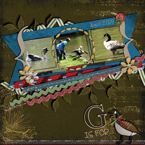 G is for Goose