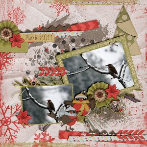 WinterBirds_KSSongbirdsOfTheSeason_fdd_FBee70