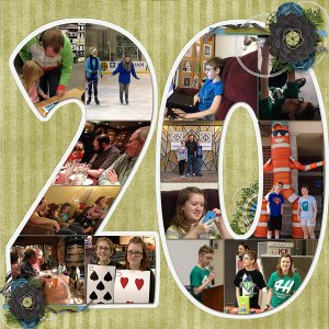 20 (part 1 of 2013)