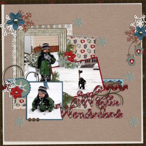winter wonderland