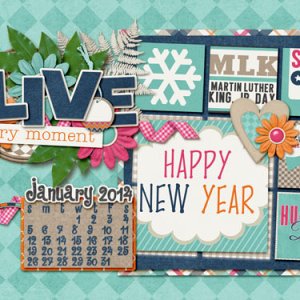 Jan Desktop 2014