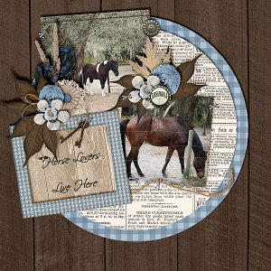 Horse Lovers Live Here