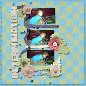 Determination