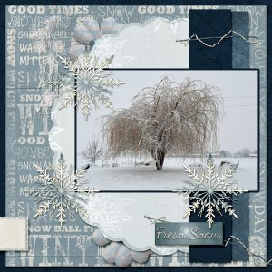 Fresh Snow