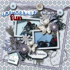 Snowmobile_fun