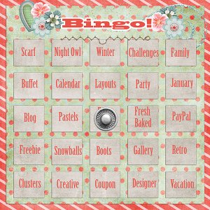 2014-01-03 Bingo!
