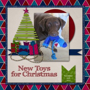 New Toys for Christmas