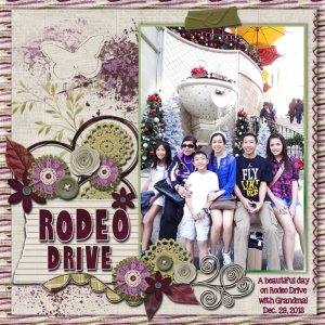 Rodeo Drive