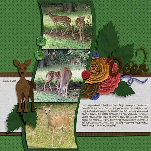 Deer