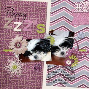 Puppy ZZZ