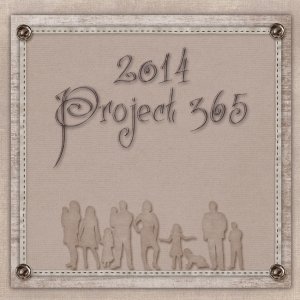 Project 365 Cover
