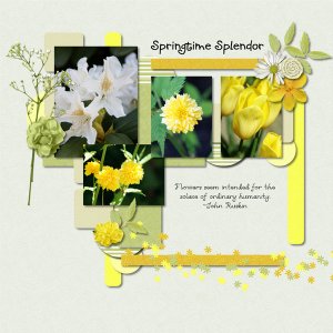 Springtime Splendor