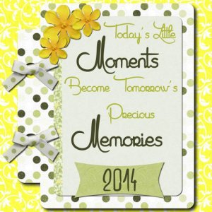 Memory Book 2014