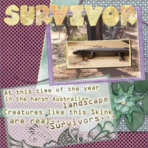 Australian Survivor