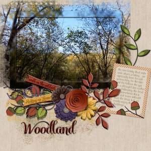Woodland