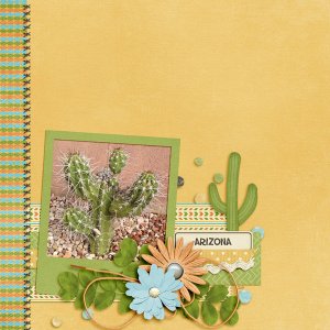 Arizona