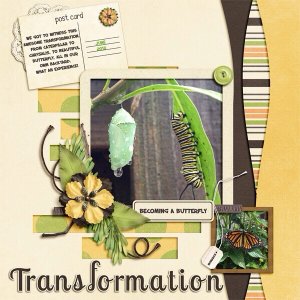 Transform