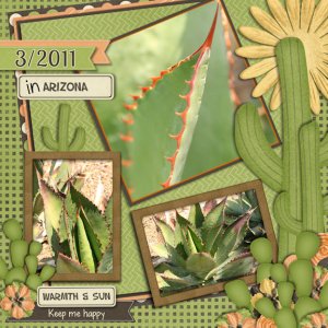 In Arizona