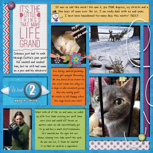 P52 Week 2