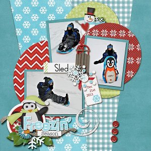 Penguin Sled