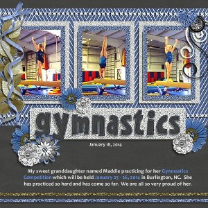 Gymnastics Jan 18, 2014