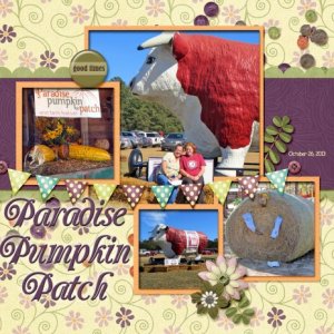 Paradise Pumpkin Patch
