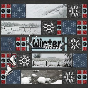 Winter Storm