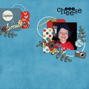 Luv Ewe Designs - Picture This / Kathy Winters - Say Cheese / B2N2 - Cluste