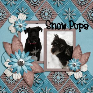 snow-pups-for-upload