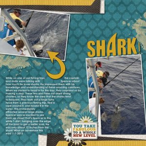 Shark!