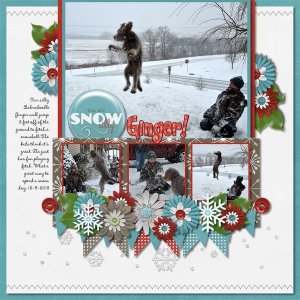 Snow Silly Ginger