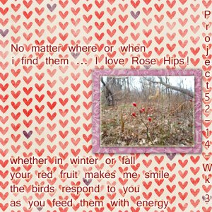 So Love RoseHips