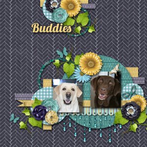 Buddies