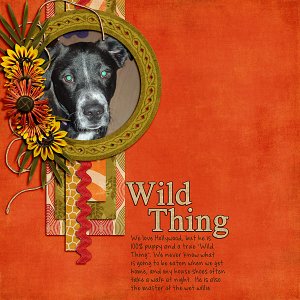 Wild Thing