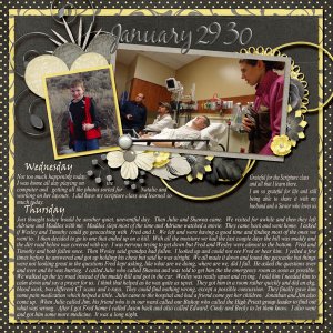 1-29-30_January_2014_small