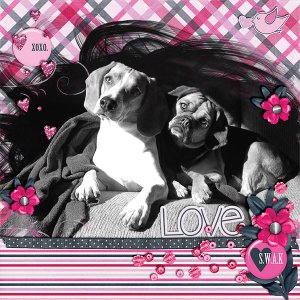 Buddy Love