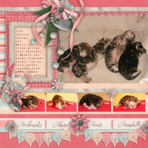 Sweet Kitten