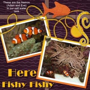 Here, Fishy fishy