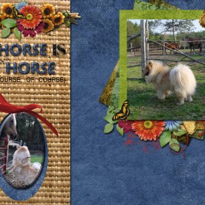 A Horse...
