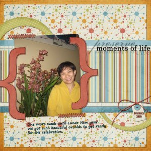 Moment of Life