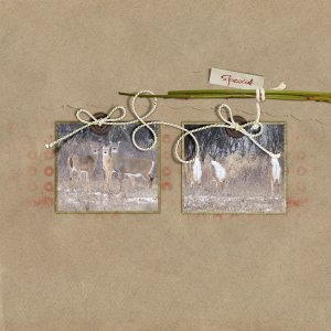 RWSpecialDeer-600