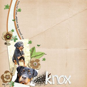 Knox