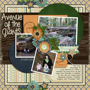 2014-02 template1 avenue of the giants
