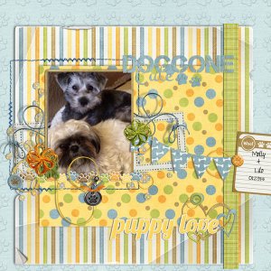 doggone cute