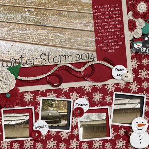 Winter Storm 2014